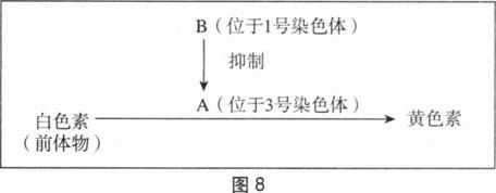中学生物学科知识与教学能力,章节练习,基础复习,初级中学