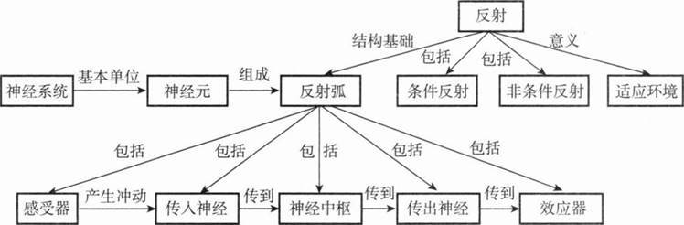中学生物学科知识与教学能力,章节练习,基础复习,初级中学