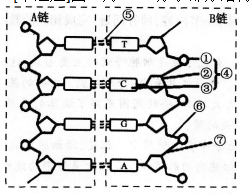 中学生物学科知识与教学能力,章节练习,基础复习,高级中学