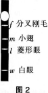 中学生物学科知识与教学能力,章节练习,基础复习,高级中学