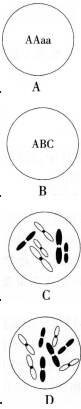 中学生物学科知识与教学能力,章节练习,基础复习,高级中学