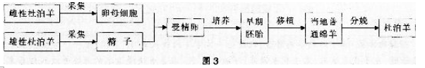 中学生物学科知识与教学能力,章节练习,基础复习,高级中学