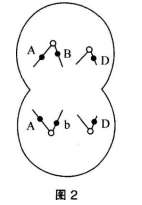中学生物学科知识与教学能力,章节练习,基础复习,高级中学