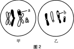 中学生物学科知识与教学能力,章节练习,基础复习,高级中学