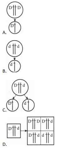 中学生物学科知识与教学能力,章节练习,基础复习,高级中学