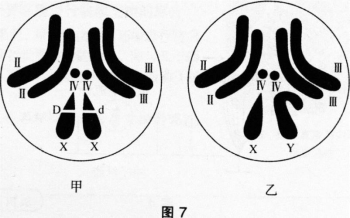 中学生物学科知识与教学能力,章节练习,基础复习,高级中学 中学生物学科知识与教学能力,章节练习,基础复习,高级中学