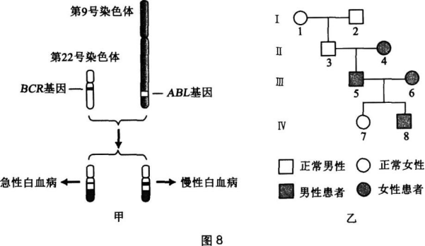 中学生物学科知识与教学能力,章节练习,高级中学生物学科知识与教学能力