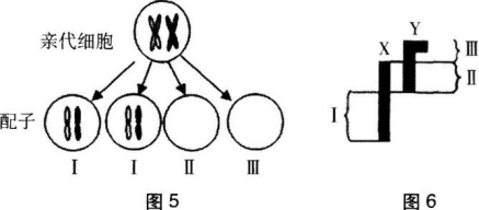 中学生物学科知识与教学能力,章节练习,基础复习,高级中学 中学生物学科知识与教学能力,章节练习,基础复习,高级中学