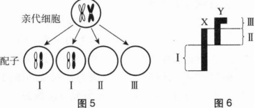 中学生物学科知识与教学能力,章节练习,基础复习,高级中学 中学生物学科知识与教学能力,章节练习,基础复习,高级中学
