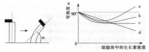 中学生物学科知识与教学能力,章节练习,基础复习,高级中学