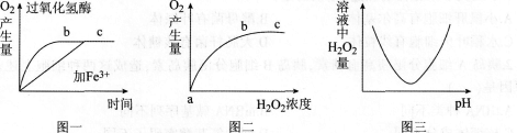 中学生物学科知识与教学能力,章节练习,基础复习,高级中学