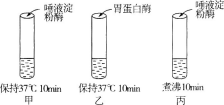 中学生物学科知识与教学能力,章节练习,基础复习,高级中学