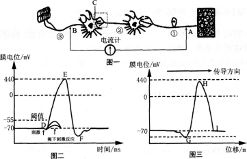 中学生物学科知识与教学能力,章节练习,基础复习,高级中学 中学生物学科知识与教学能力,章节练习,基础复习,高级中学