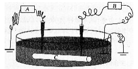 中学生物学科知识与教学能力,章节练习,基础复习,高级中学 中学生物学科知识与教学能力,章节练习,基础复习,高级中学