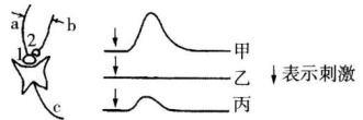 中学生物学科知识与教学能力,章节练习,基础复习,高级中学 中学生物学科知识与教学能力,章节练习,基础复习,高级中学