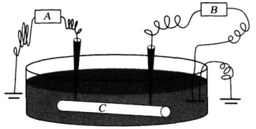 中学生物学科知识与教学能力,章节练习,基础复习,高级中学 中学生物学科知识与教学能力,章节练习,基础复习,高级中学
