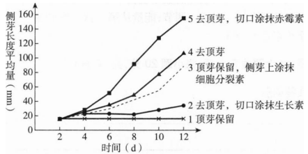中学生物学科知识与教学能力,章节练习,基础复习,高级中学 中学生物学科知识与教学能力,章节练习,基础复习,高级中学