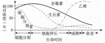 中学生物学科知识与教学能力,章节练习,基础复习,高级中学 中学生物学科知识与教学能力,章节练习,基础复习,高级中学