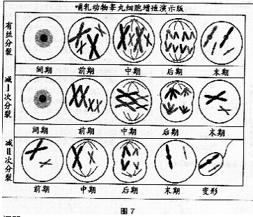 中学生物学科知识与教学能力,章节练习,基础复习,高级中学 中学生物学科知识与教学能力,章节练习,基础复习,高级中学