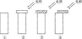 中学生物学科知识与教学能力,章节练习,基础复习,高级中学