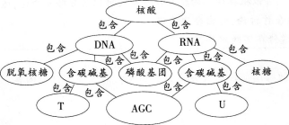 中学生物学科知识与教学能力,章节练习,基础复习,高级中学
