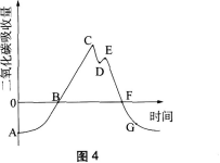 中学生物学科知识与教学能力,黑钻押题,2022年下半年教师资格《初中生物学科知识与教学能力》黑钻押题