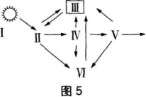 中学生物学科知识与教学能力,黑钻押题,2022年下半年教师资格《高中生物学科知识与教学能力》黑钻押题