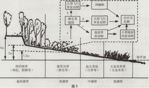 中学生物学科知识与教学能力,黑钻押题,2022年下半年教师资格《高中生物学科知识与教学能力》黑钻押题