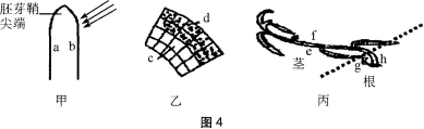 中学生物学科知识与教学能力,黑钻押题,2022年下半年教师资格《初中生物学科知识与教学能力》黑钻押题