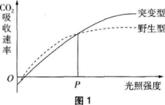 中学生物学科知识与教学能力,黑钻押题,2022年下半年教师资格《高中生物学科知识与教学能力》黑钻押题