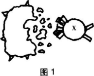 中学生物学科知识与教学能力,黑钻押题,2022年下半年教师资格《高中生物学科知识与教学能力》黑钻押题