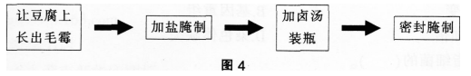 中学生物学科知识与教学能力,历年真题,2017年下半年教师资格证考试《生物学科知识与教学能力》（初级中学）真题