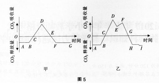 中学生物学科知识与教学能力,历年真题,2017年下半年教师资格证考试《生物学科知识与教学能力》（初级中学）真题