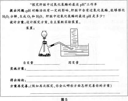 中学生物学科知识与教学能力,历年真题,2015年上半年教师资格证考试《生物学科知识与教学能力》（高级中学）真题