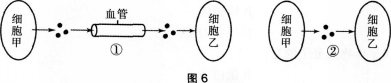 中学生物学科知识与教学能力,历年真题,2015年上半年教师资格证考试《生物学科知识与教学能力》（高级中学）真题