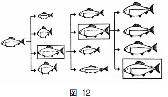 中学生物学科知识与教学能力,历年真题,2016年上半年教师资格证考试《生物学科知识与教学能力》（高级中学）真题