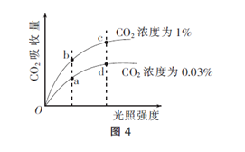 中学生物学科知识与教学能力,历年真题,2016年上半年教师资格证考试《生物学科知识与教学能力》（高级中学）真题