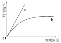 中学生物学科知识与教学能力,历年真题,2016年下半年教师资格证考试《生物学科知识与教学能力》（高级中学）真题