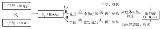 中学生物学科知识与教学能力,历年真题,2016年下半年教师资格证考试《生物学科知识与教学能力》（高级中学）真题