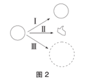 中学生物学科知识与教学能力,历年真题,2017年上半年教师资格证考试《生物学科知识与教学能力》（高级中学）真题