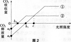 中学生物学科知识与教学能力,历年真题,2013年上半年教师资格证考试《生物学科知识与教学能力》（高级中学）真题