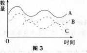 中学生物学科知识与教学能力,历年真题,2013年上半年教师资格证考试《生物学科知识与教学能力》（高级中学）真题