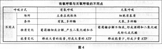 中学生物学科知识与教学能力,历年真题,2013年上半年教师资格证考试《生物学科知识与教学能力》（高级中学）真题