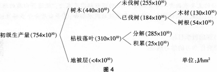 中学生物学科知识与教学能力,历年真题,2013年下半年教师资格证考试《生物学科知识与教学能力》（高级中学）真题