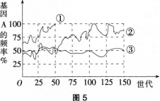 中学生物学科知识与教学能力,历年真题,2013年下半年教师资格证考试《生物学科知识与教学能力》（高级中学）真题