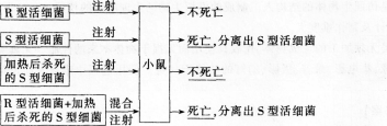 中学生物学科知识与教学能力,点睛提分卷,2021年教师资格证考试《生物学科知识与教学能力》（高级中学）点睛提分卷3