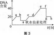 中学生物学科知识与教学能力,点睛提分卷,2021年教师资格证考试《生物学科知识与教学能力》（高级中学）点睛提分卷3