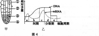 中学生物学科知识与教学能力,历年真题,2012年下半年教师资格证考试《生物学科知识与教学能力》（高级中学）真题