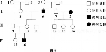 中学生物学科知识与教学能力,历年真题,2012年下半年教师资格证考试《生物学科知识与教学能力》（高级中学）真题