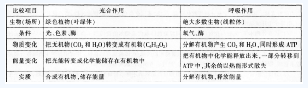 中学生物学科知识与教学能力,点睛提分卷,2021年教师资格证考试《生物学科知识与教学能力》（高级中学）点睛提分卷5